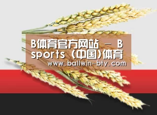 B体育官方网站 - Bsports (中国)体育赛事入口