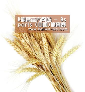 B体育官方网站 - Bsports (中国)体育赛事入口